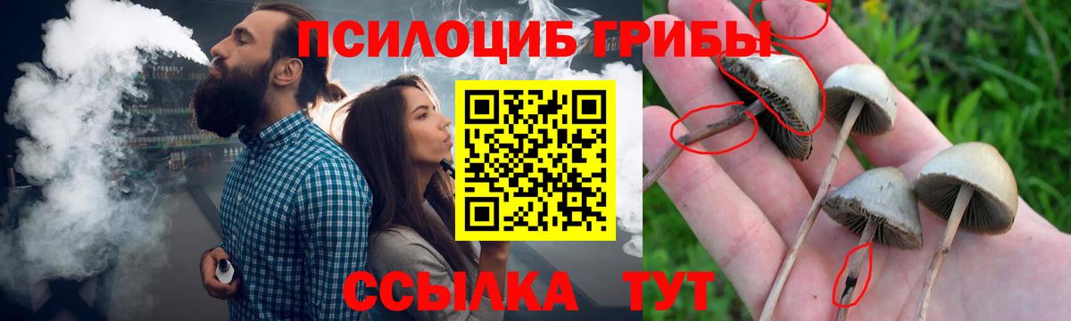 Галлюциногенные грибы MAGIC MUSHROOMS  Псилоцибиновые грибы Cubensis  наркота  Вход с VPN  Стрежевой 